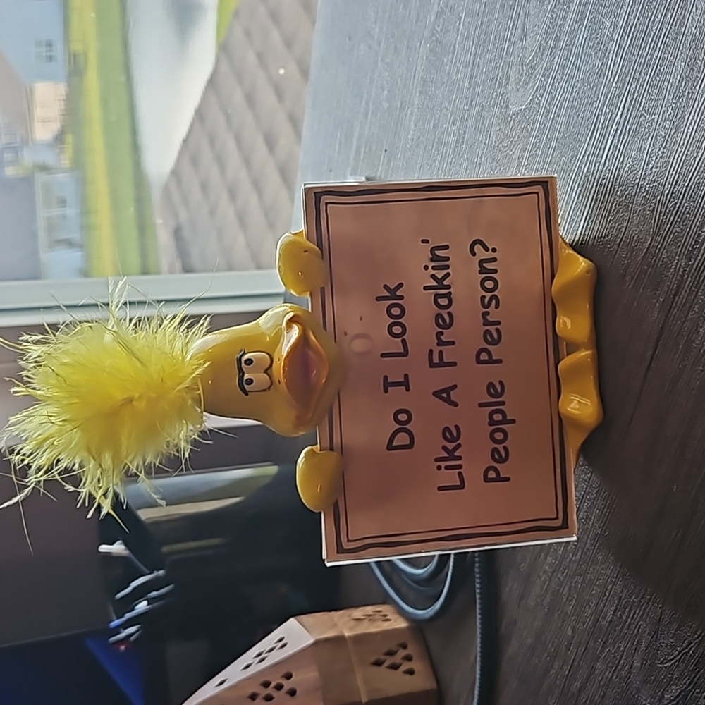 Duck Table Sign